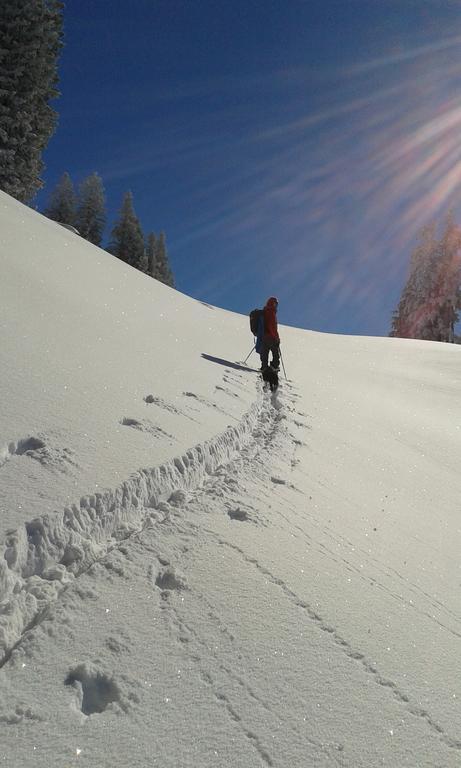 Sonnenhaus Sander Schruns