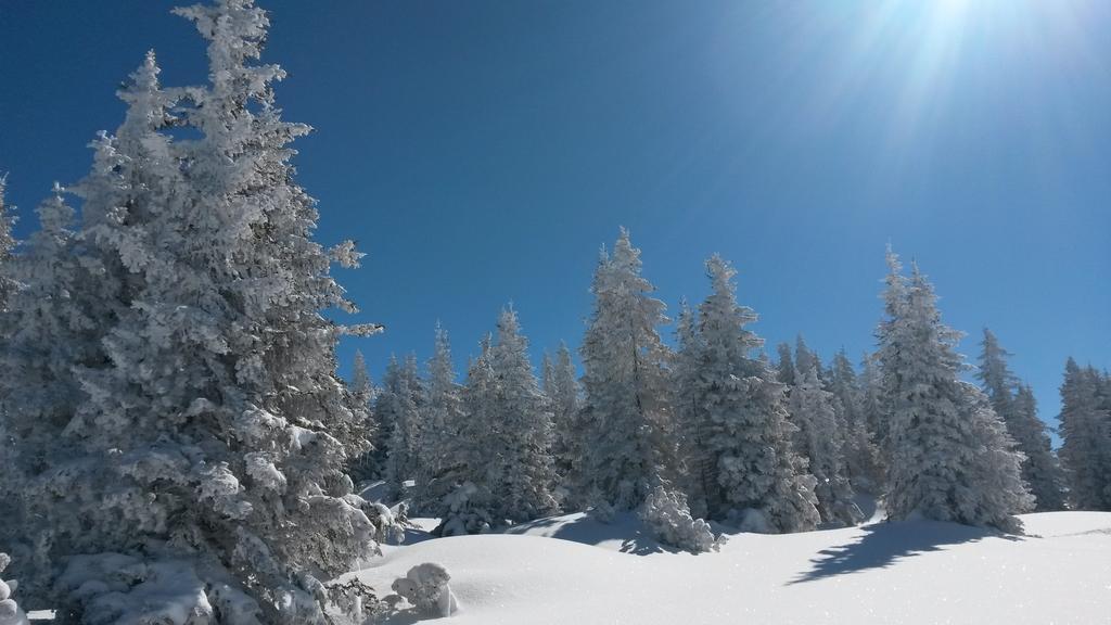 Sonnenhaus Sander Schruns